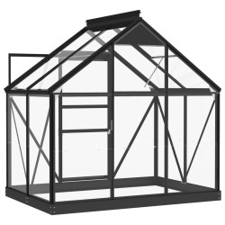 Serre en verre Anthracite 155x103x191 cm Aluminium 