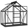 Serre en verre Anthracite 155x103x191 cm Aluminium 