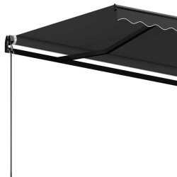 Auvent manuel rétractable 300x250 cm Anthracite 