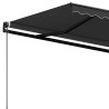 Auvent manuel rétractable 300x250 cm Anthracite 