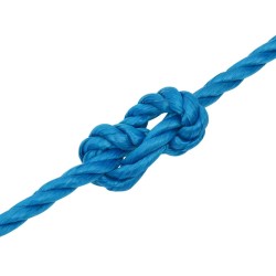 Corde de travail Bleu 12 mm 25 m Polypropylène 