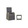 Ensemble à manger de jardin et coussins 2 pcs gris rotin 
