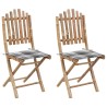Chaises pliables de jardin lot de 2 avec coussins Bambou 