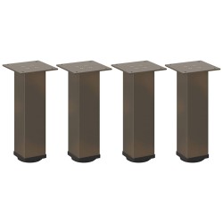 Pieds de table basse 4 pièces Acier naturel 42-44 cm Acier 