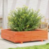 Jardinière cire marron 90x90x26,5 cm bois de pin massif 