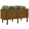 Lit surélevé de jardin brun miel 121x50x57cm bois de pin massif 