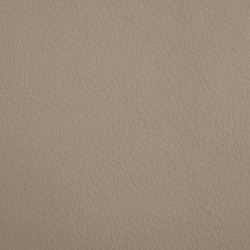 Lit pour chien cappuccino 60x40x30 cm similicuir 