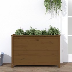 Lit surélevé de jardin brun miel 119,5x40x78 cm pin massif 
