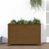 Lit surélevé de jardin brun miel 119,5x40x78 cm pin massif 