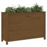 Lit surélevé de jardin brun miel 119,5x40x78 cm pin massif 