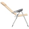 Chaises de camping pliables lot de 2 Crème Aluminium 