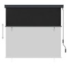 Store roulant d'extérieur 160x250 cm Anthracite 