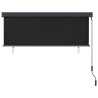 Store roulant d'extérieur 160x250 cm Anthracite 