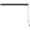 Store roulant d'extérieur 160x250 cm Anthracite 