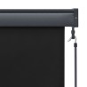Store roulant d'extérieur 160x250 cm Anthracite 