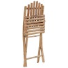 Chaises pliables de jardin lot de 2 avec coussins Bambou 