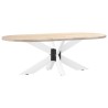 Pied de table basse en forme d'araignée, blanc, 98 x 58 x (42-43) cm, acier 
