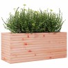 Jardinière 110x40x45,5 cm bois massif de douglas 