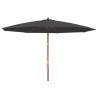 Parasol de jardin avec mât en bois noir 400x273 cm 