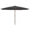 Parasol de jardin avec mât en bois noir 400x273 cm 