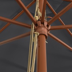 Parasol de jardin avec mât en bois noir 400x273 cm 