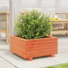 Jardinière cire marron 50x50x26,5 cm bois de pin massif 