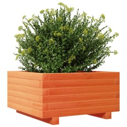 Jardinière cire marron 50x50x26,5 cm bois de pin massif 