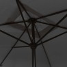 Parasol d'extérieur avec mât en métal 300x200 cm anthracite 