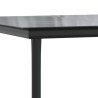 Ensemble à manger jardin et coussins 2 pcs gris rotin 