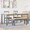 Ensemble à manger Panama 4 pcs gris bois de pin massif 