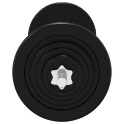 Barre d'haltères avec plaques 60 kg fonte et acier chromé 