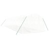 Serre avec cadre en acier blanc 30 m² 10x3x2 m 
