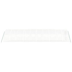 Serre avec cadre en acier blanc 30 m² 10x3x2 m 