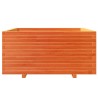 Jardinière cire marron 100x100x49,5 cm bois de pin massif 