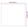Auvent vertical Vert clair 250x420 cm Tissu oxford 