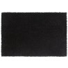 Tapis de porte 2 pcs noir 40x60 cm fibre de coco touffeté 
