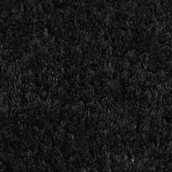 Tapis de porte 2 pcs noir 40x60 cm fibre de coco touffeté 