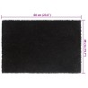 Tapis de porte 2 pcs noir 40x60 cm fibre de coco touffeté 