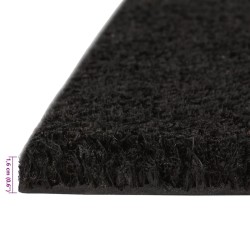 Tapis de porte 2 pcs noir 40x60 cm fibre de coco touffeté 