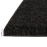 Tapis de porte 2 pcs noir 40x60 cm fibre de coco touffeté 