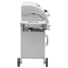 Barbecue à gaz 4+1 zones de cuisson Argenté Inox  