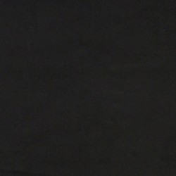 Ensemble de canapés 2 pcs avec coussins Noir Velours 