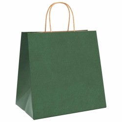 Sacs en papier 50 pcs avec poignées vert 26x17x25 cm 