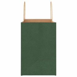 Sacs en papier 50 pcs avec poignées vert 26x17x25 cm 