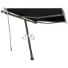 Auvent manuel rétractable sur pied 300x250 cm Anthracite 