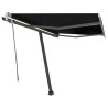 Auvent manuel rétractable sur pied 300x250 cm Anthracite 