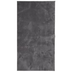 Tapis HUARTE à poils courts doux et lavable anthracite 60x110cm 