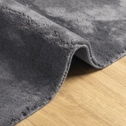 Tapis HUARTE à poils courts doux et lavable anthracite 60x110cm 