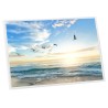 Collage de cadres photo 5 pcs de table Blanc 21x29,7 cm MDF 