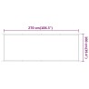 Auvent vertical Vert clair 100x270 cm Tissu oxford 